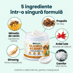 Elixirul Albinei