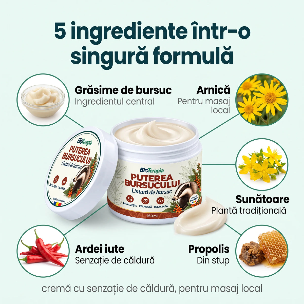 Puterea Bursucului