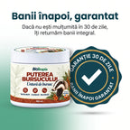 Puterea Bursucului